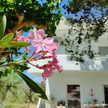 Διαμέρισμα Eva's Place *