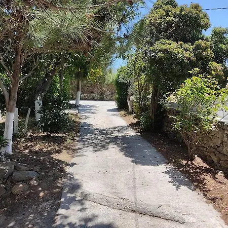 Eva's Place Διαμέρισμα Κάρυστος