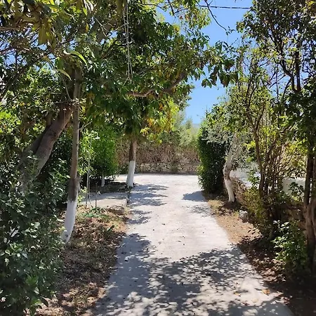 Διαμέρισμα Eva's Place