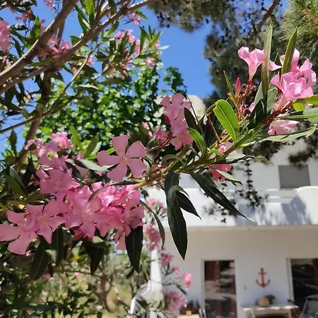 Eva's Place * Karystos (Evia)