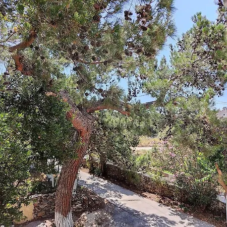 Διαμέρισμα Eva's Place