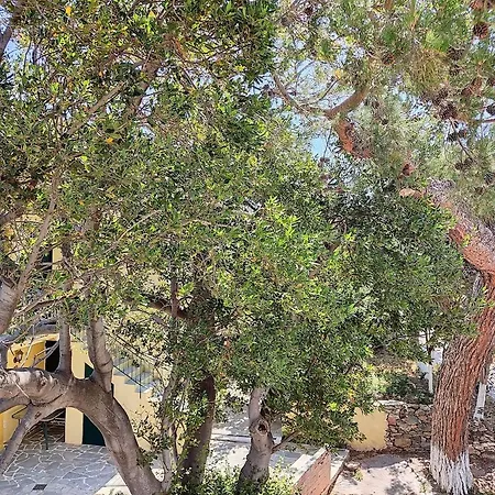 Διαμέρισμα Eva's Place *